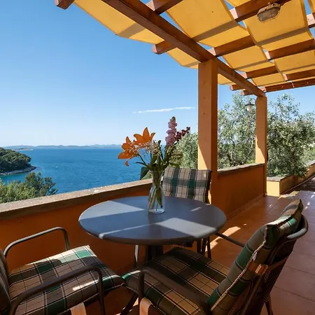 With A Parking Space Sali, Dugi Otok - 17791 Apartman
