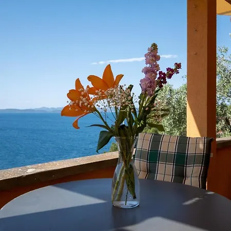 Appartement With Parking Space Sali, Dugi Otok - 17791 *